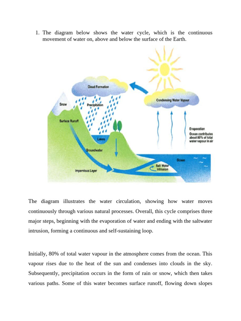 Understanding the Water Cycle Process | PDF