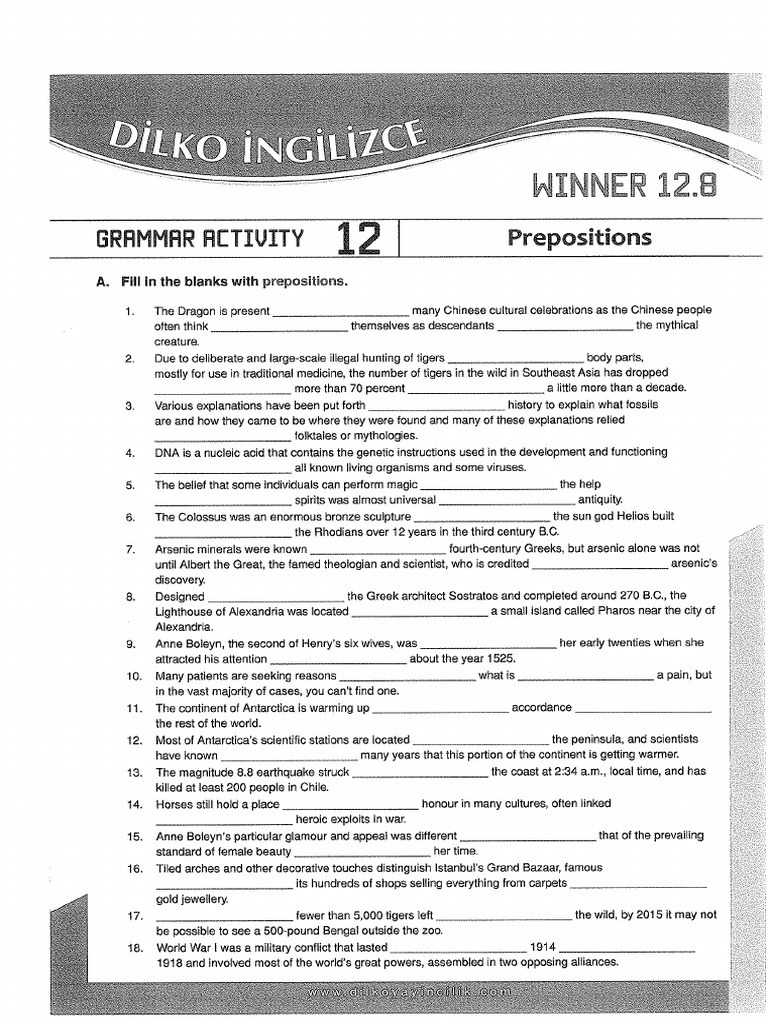 Grammar Activity 12 | PDF