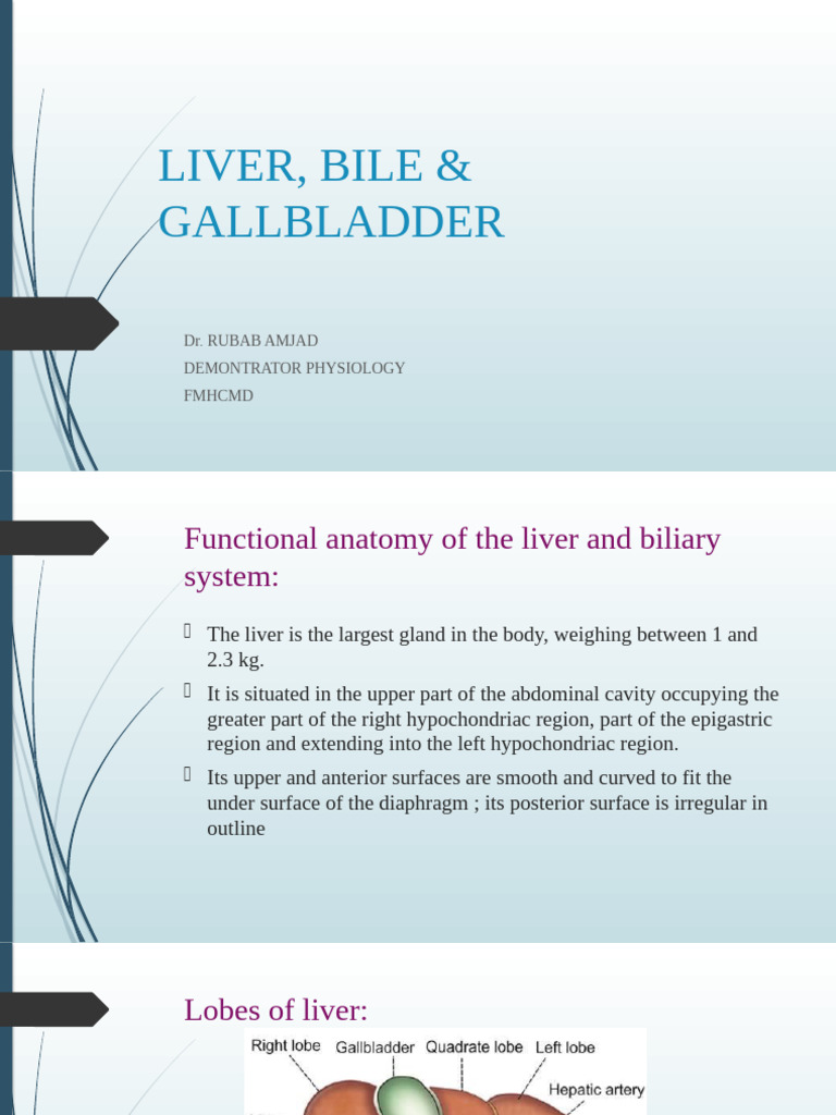 Liver and Gallbladder Functions Explained | PDF | Bile | Liver
