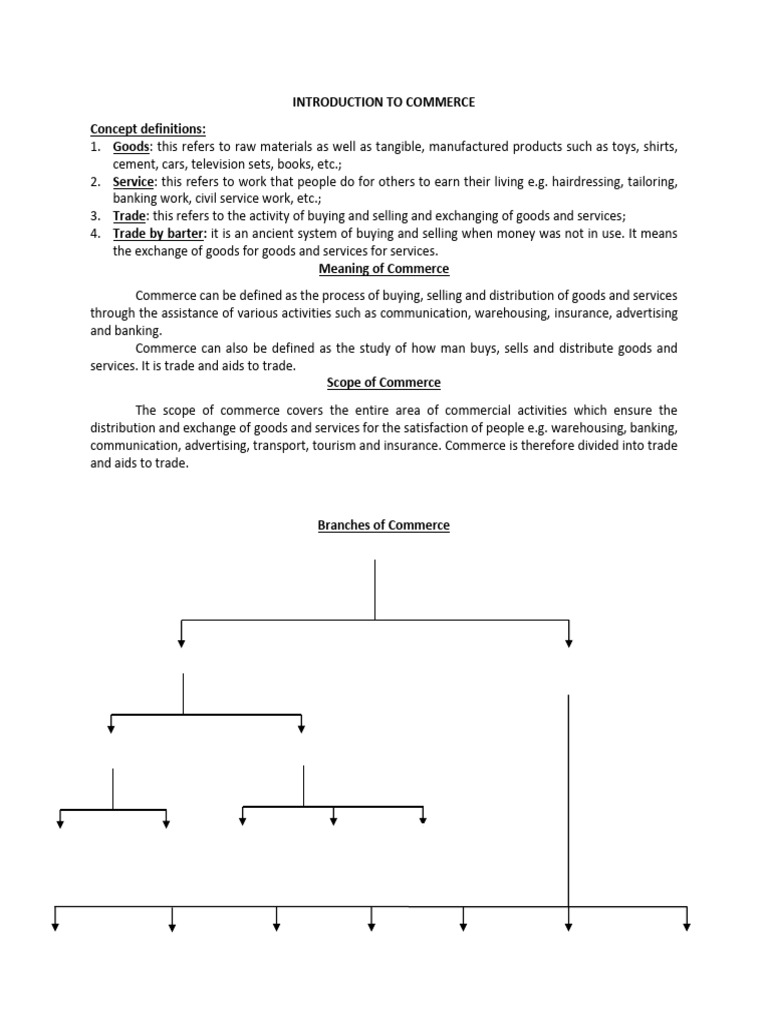3402 - Introduction To Commerce | PDF | Commerce | Goods