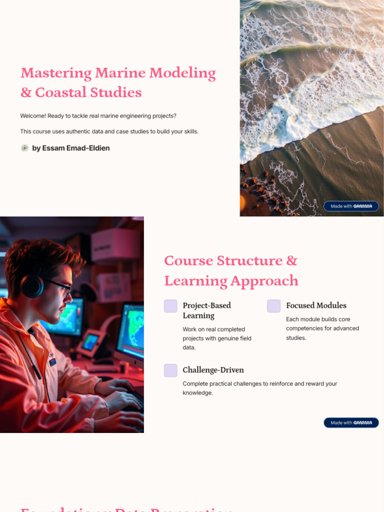 Mastering Marine Modeling and Coastal Studies | PDF | Simulation | Learning