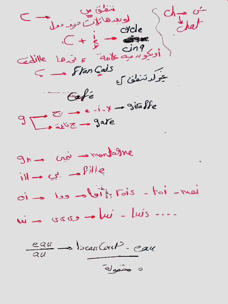 French 1 | PDF