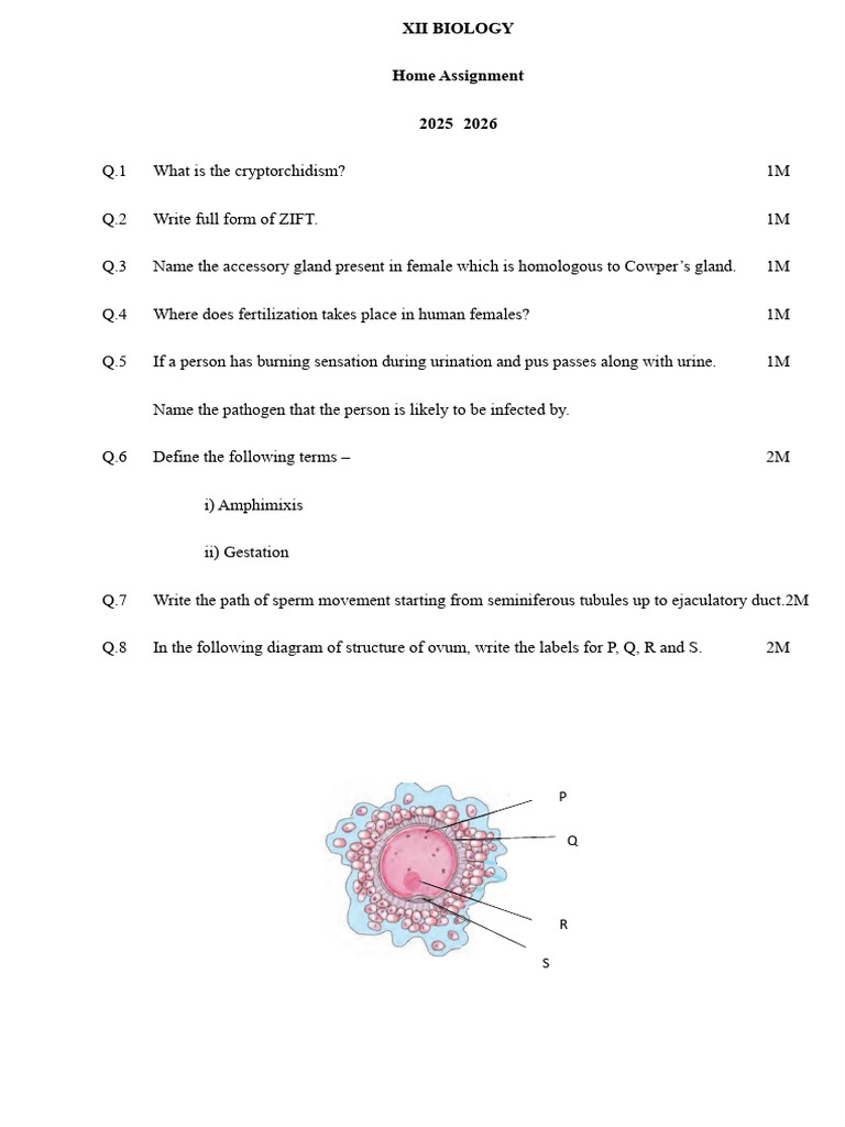 Home Assignment 2 | PDF | Fertilisation | Biology