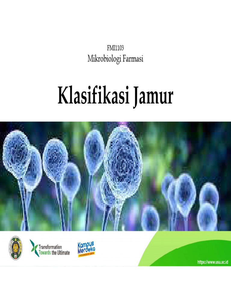 Klasifikasi dan Reproduksi Jamur Farmasi | PDF