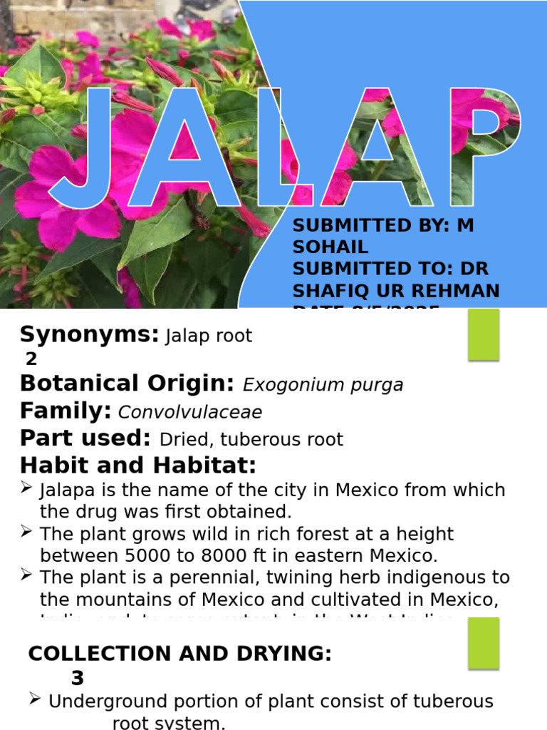 Jalap and Turpentine: Uses & Extraction | PDF | Resin | Trees