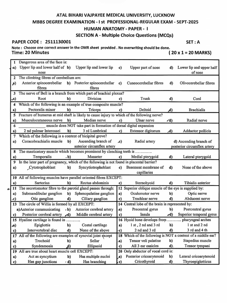 ABVMU Lucknow - 1ST Proff 2024 - SEP 2025 | PDF