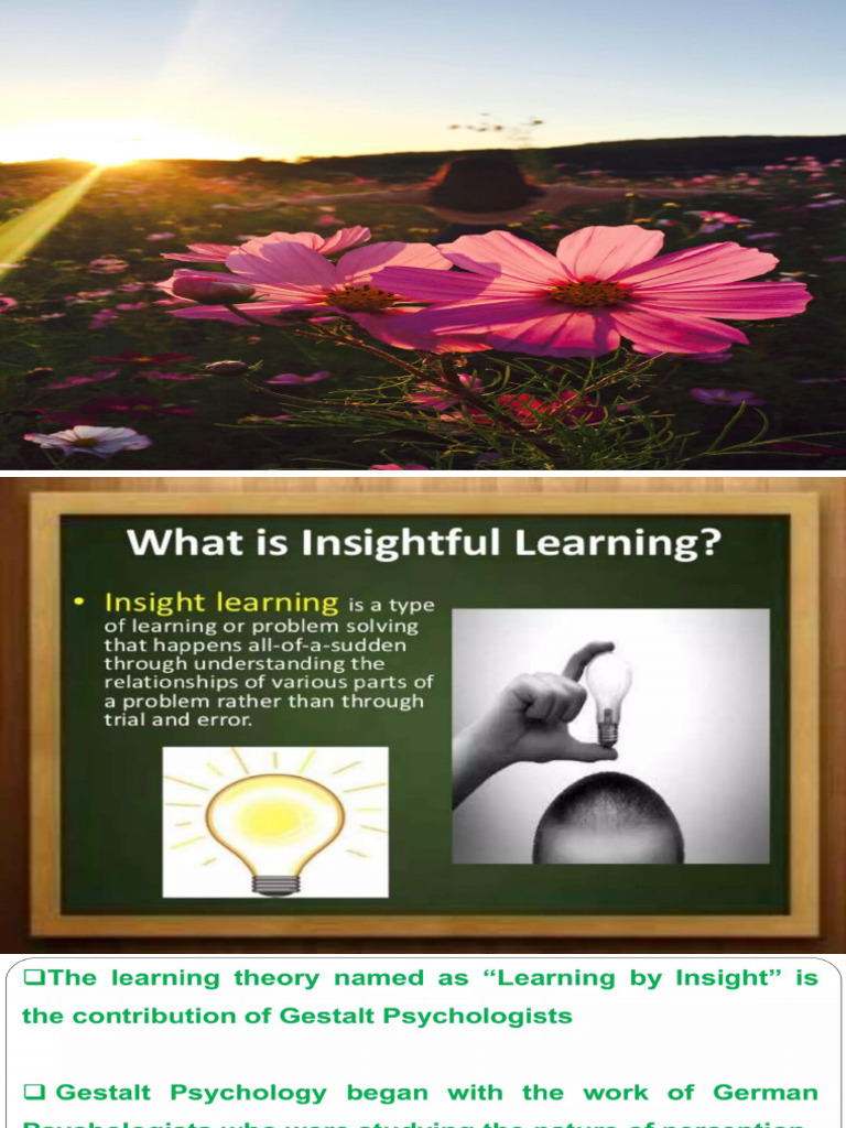 Kohler's Insightful Learning Theory | PDF