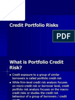 Credit Portfolio Risks