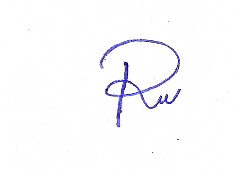 Rubí | PDF