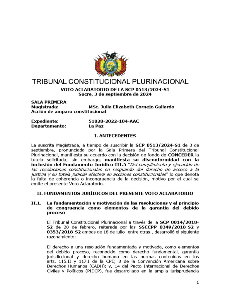 0513 2024-S1 | PDF | Debido al proceso | Caso de ley