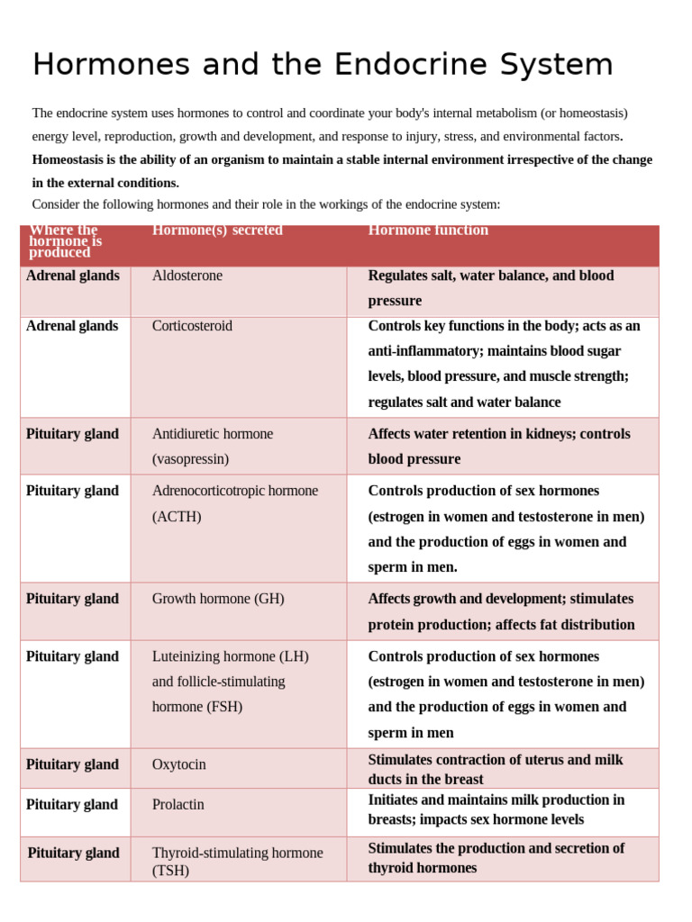 Hormones and Endocrine Functions Explained | PDF | Endocrine System ...