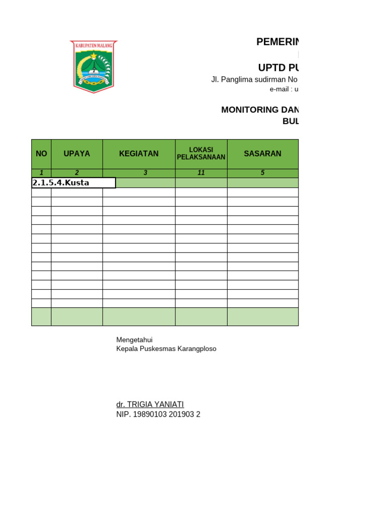 Format Monev Bulanan | PDF