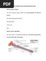 Understanding the Penile Raphe Line | PDF | Genitourinary System ...