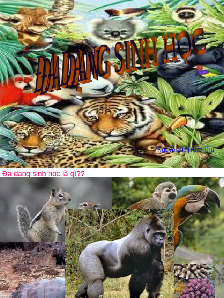 Da Dang Sinh Hoc | PDF