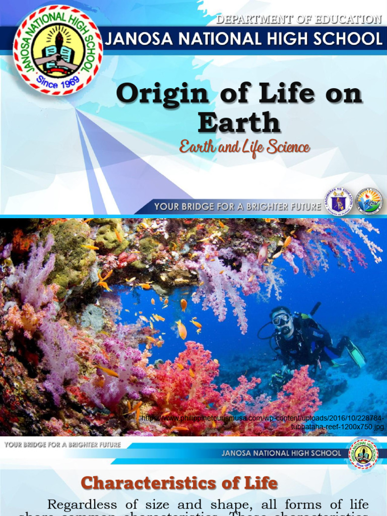 Theories on Earth's Origin of Life | PDF | Eukaryotes | Bacteria