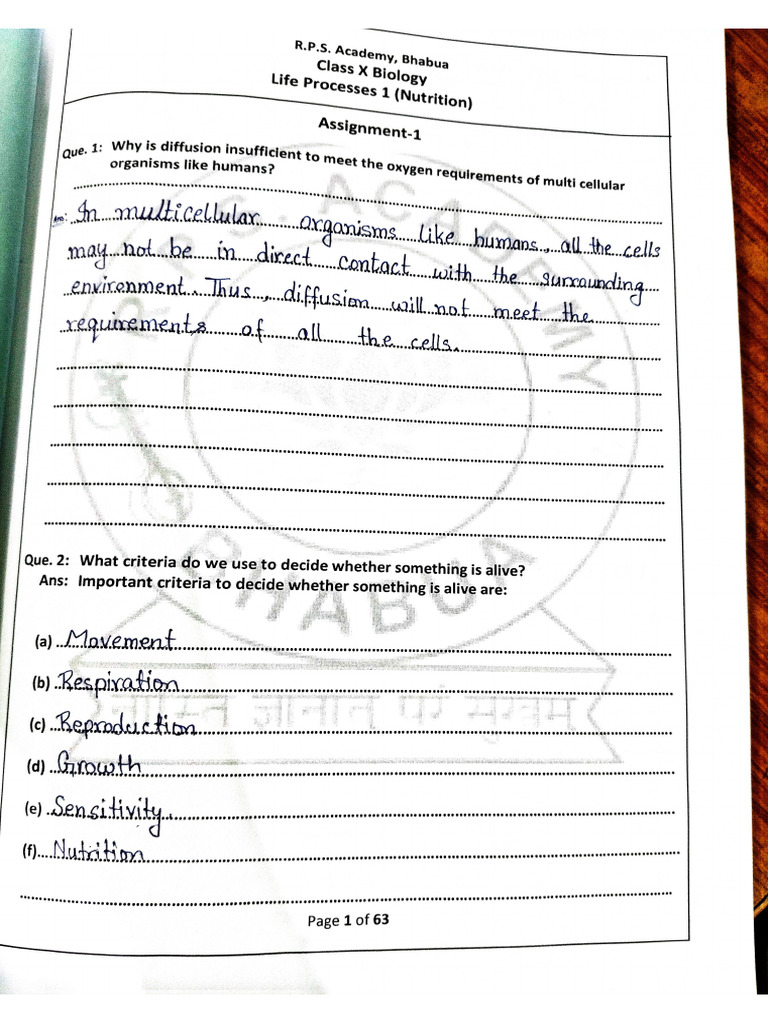 Important Notes | PDF
