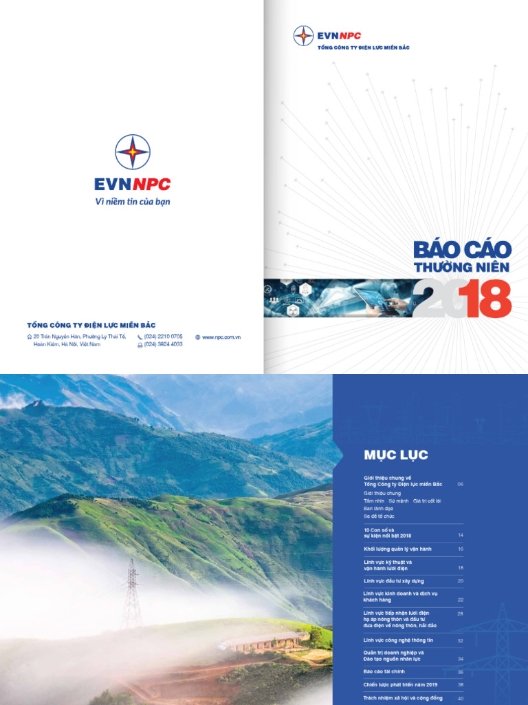 NPC Annual Report 2018 | PDF