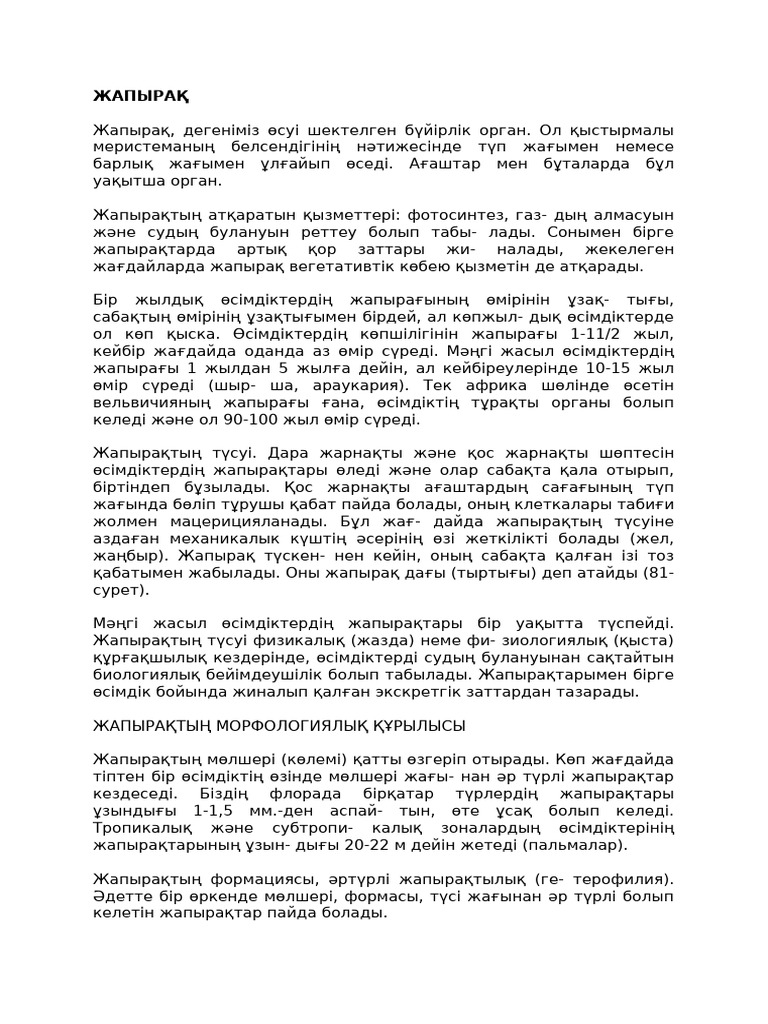 Ақымақ қыз ағасына онлайн порно көруге рұқсат берді.