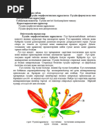 Ағасы әпкесін жыныстық қатынасқа көндірді (Русский порно)