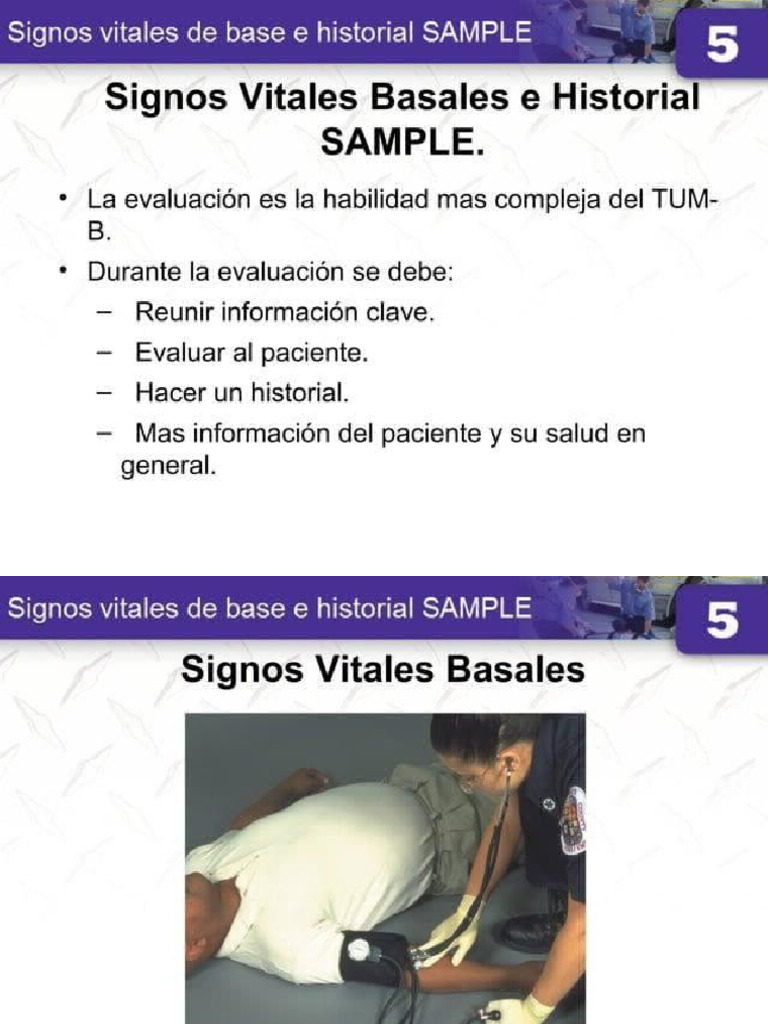 Sample | PDF