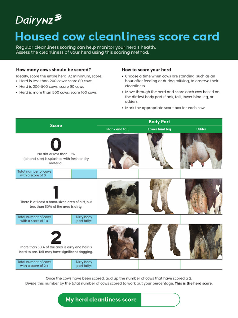 Herd Cleanliness Scoring Guide | PDF | Cattle