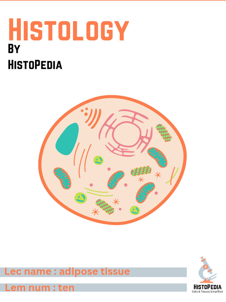 Adipose Tissue: Functions and Types | PDF | Adipose Tissue | Adipocyte