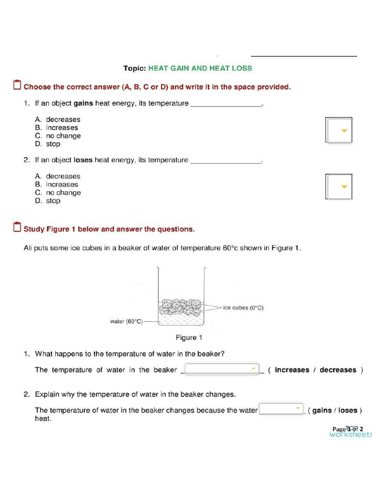 Heat Gain and Heat Loss | PDF