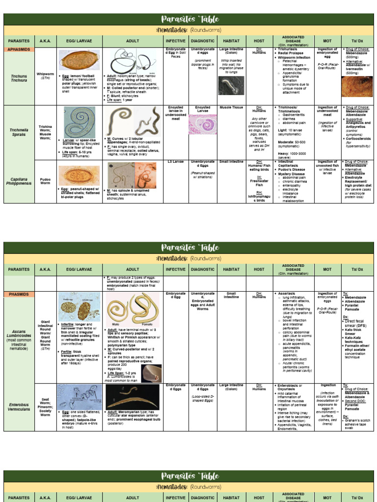 Roundworm Parasites: Types and Treatments | PDF | Medical Specialties ...