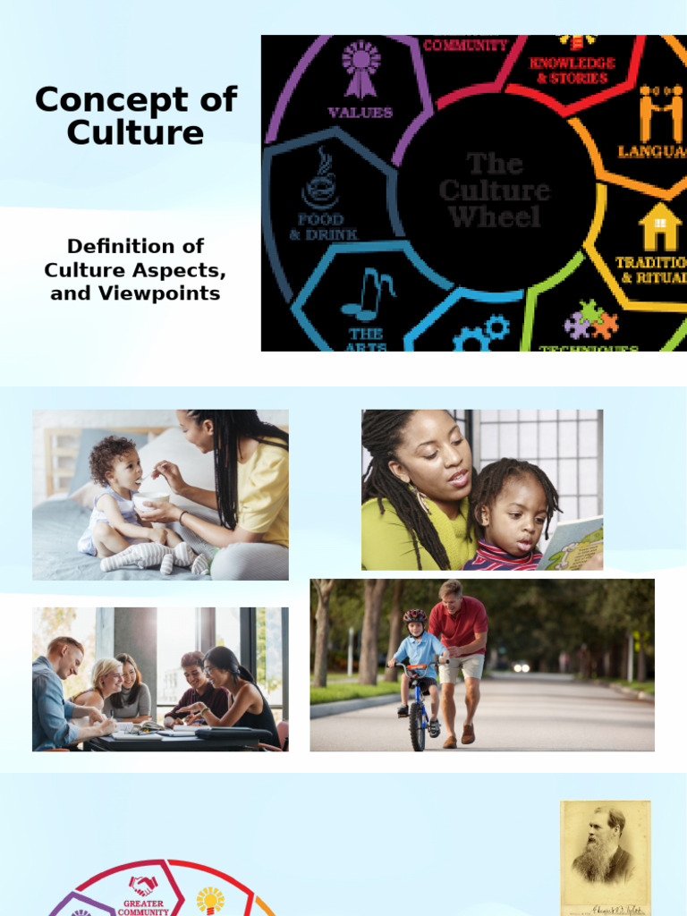 Understanding Culture: Definitions & Perspectives | PDF