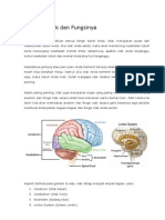 Anatomi Otak Dan Fungsinya