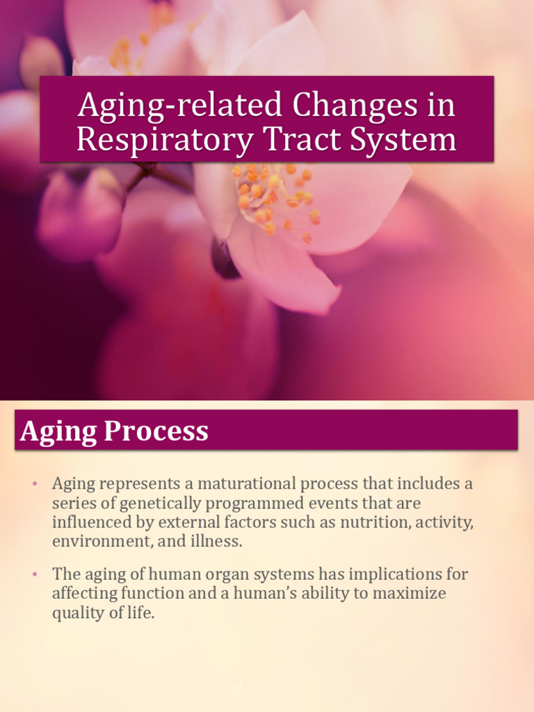 Aging-Related Changes in Respiratory System | PDF | Respiratory Tract ...
