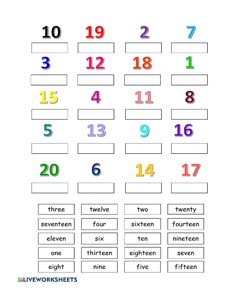 Worksheet Numbers | PDF