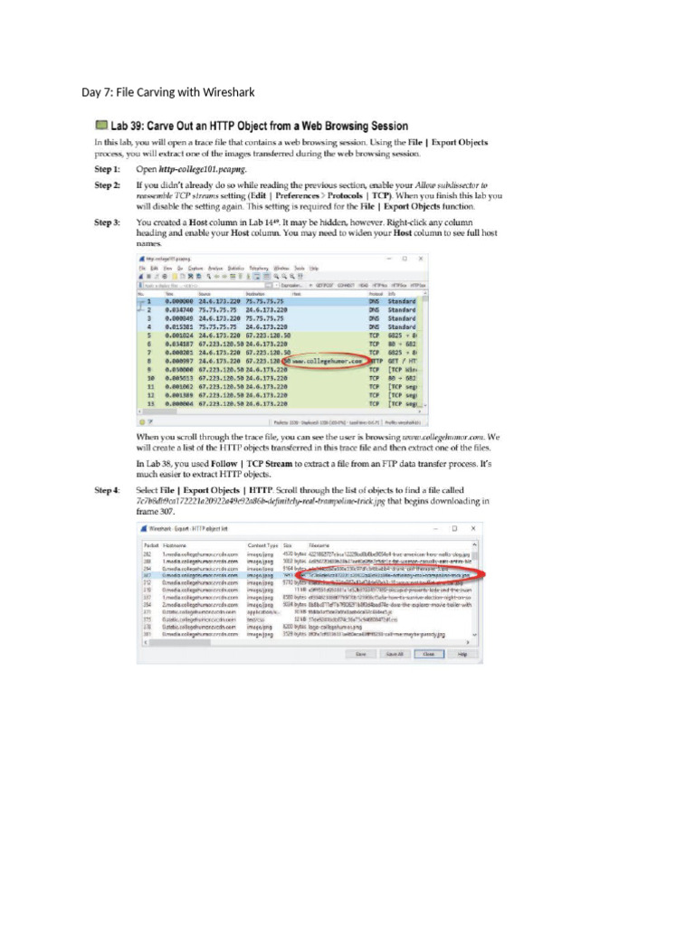 Day 7 File Carving With Wireshark | PDF