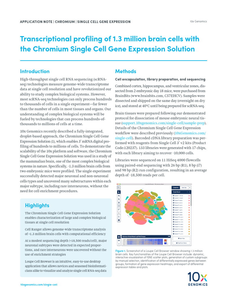 10x AN015 SCGE Million Brain Cells Digital | PDF | Gene Expression ...