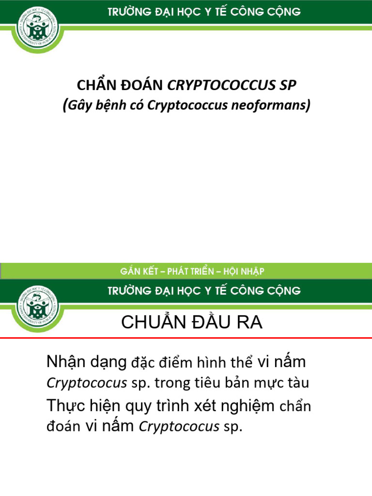 TH10 Cryptococcus.F | PDF