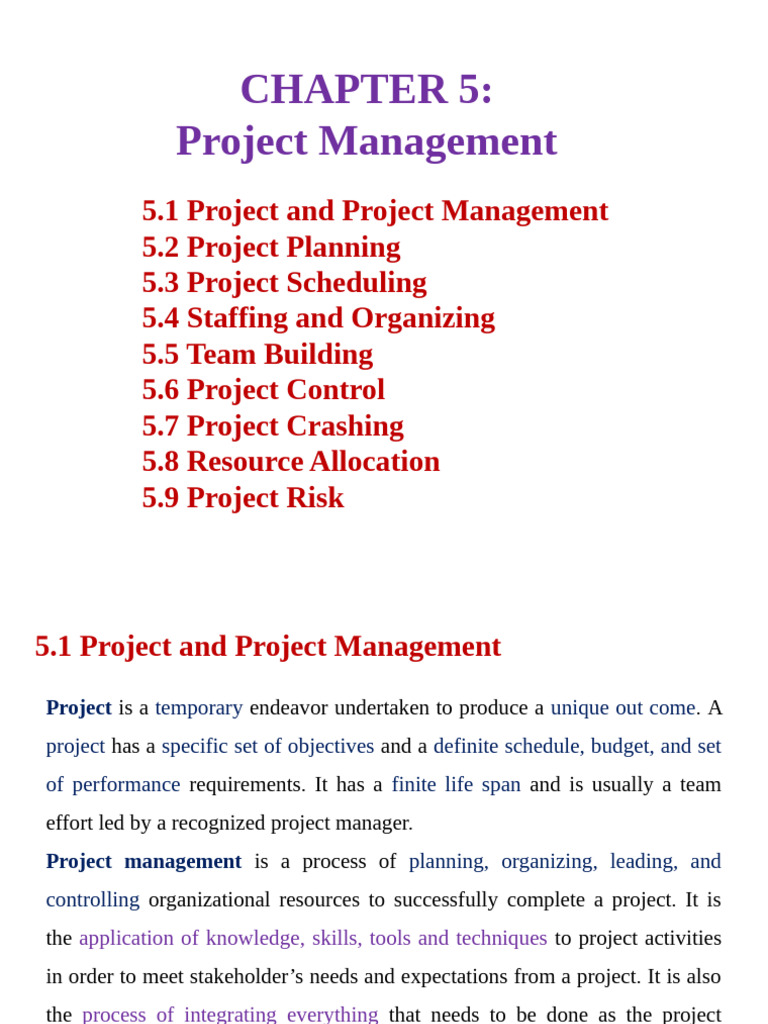 Project Management Essentials Guide | PDF | Project Management | Risk