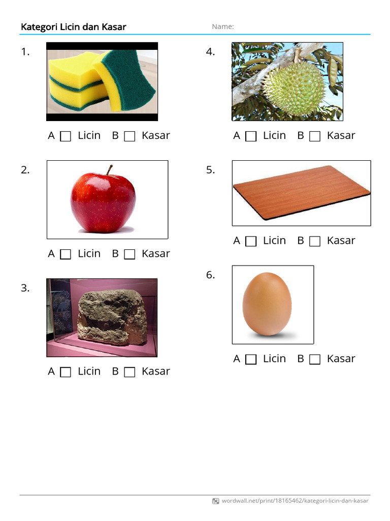 Kategori Licin Dan Kasar Quiz | PDF