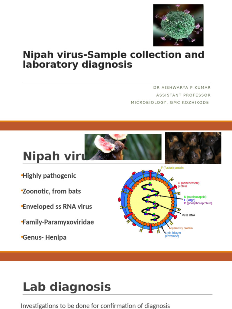 Nipah Virus Sample Collection Guide | PDF | Microbiology | Immunology