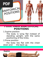 Anatomical Positions and Movements Guide | PDF | Anatomical Terms Of ...