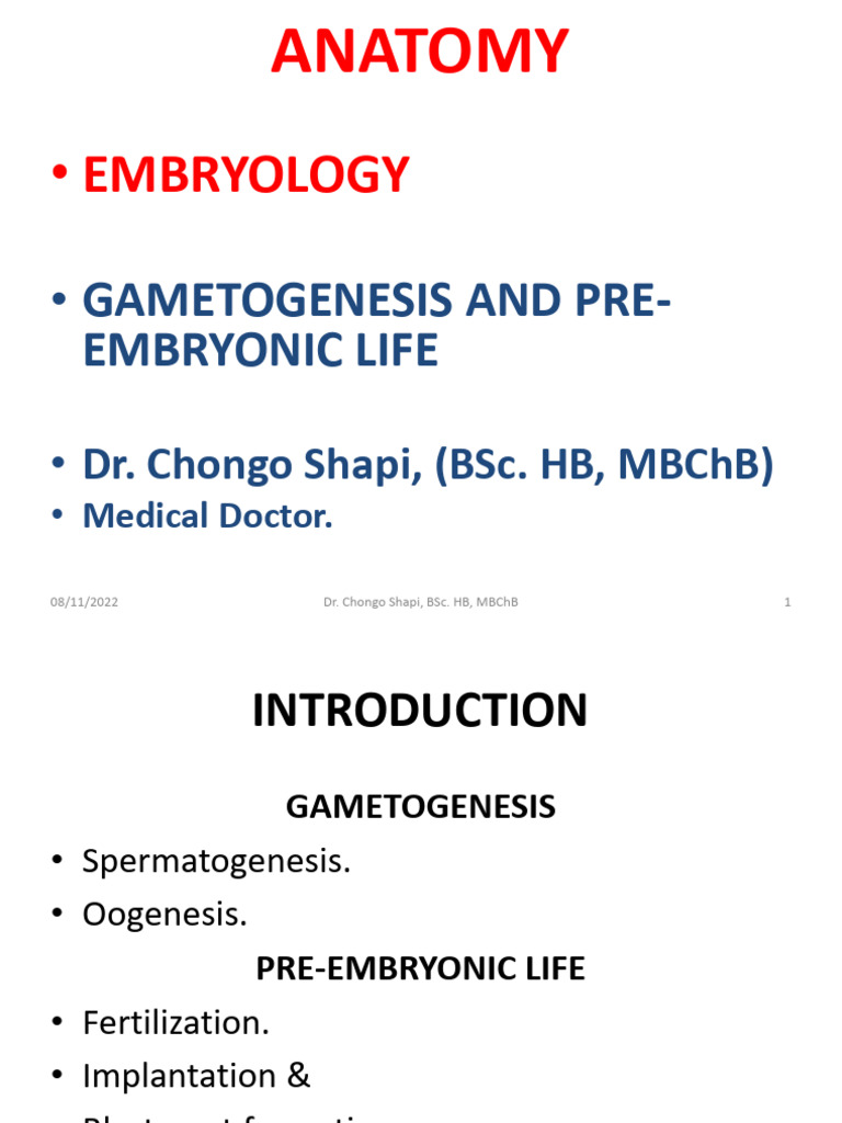 Gametogenesis and Pre-Embryonic Life | PDF | Menstrual Cycle | Ovary