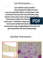 Download Definisi Kromosom by Umi Khulsum SN91942412 doc pdf