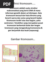Download Definisi Kromosom by Umi Khulsum SN91942412 doc pdf