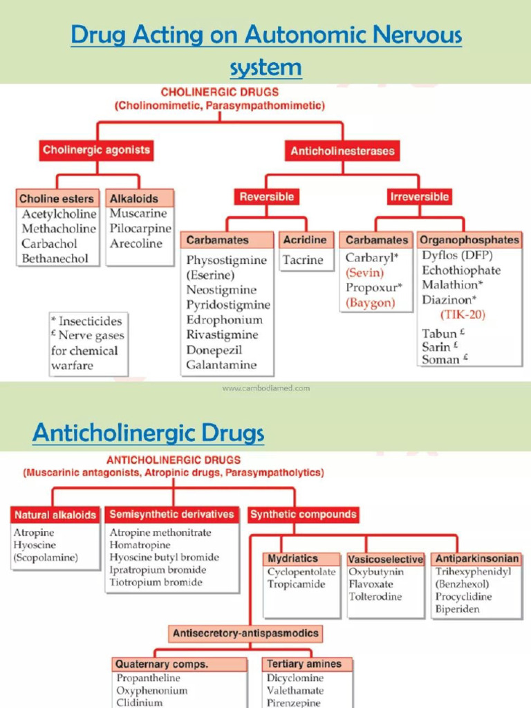 Classification of Drugs | PDF