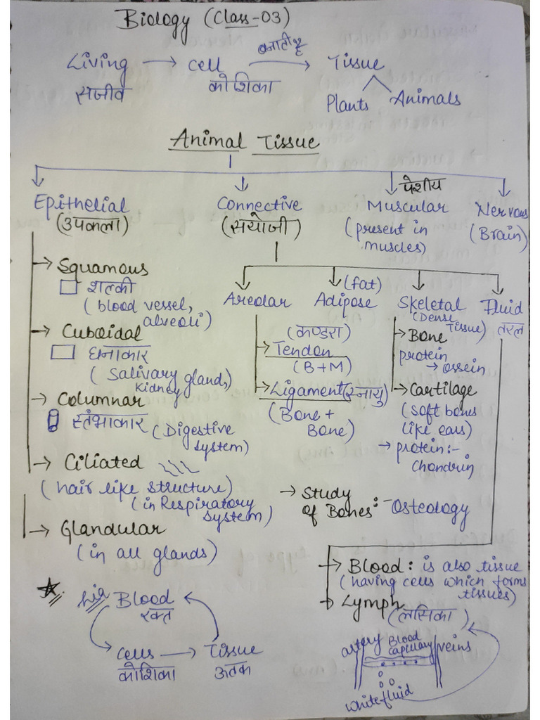 Biology Notes Class - 03 | PDF