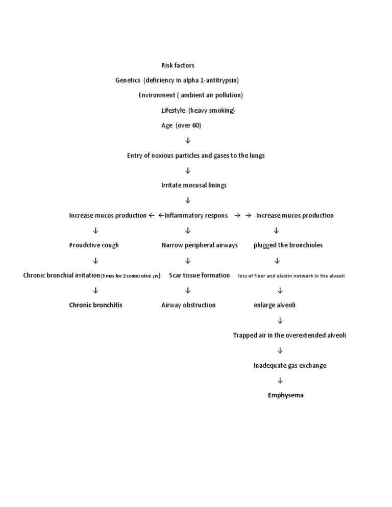 Chronic Bronchitis and Emphysema Risks | PDF | Foreign Language Studies ...