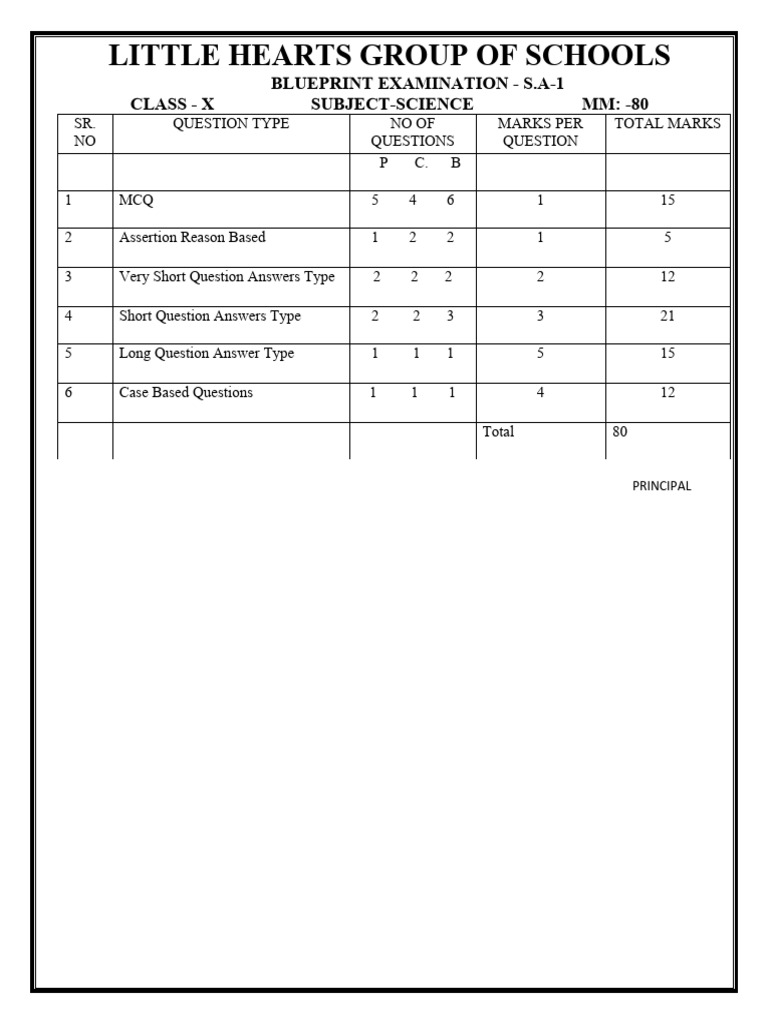 Class X Science Exam Blueprint | PDF