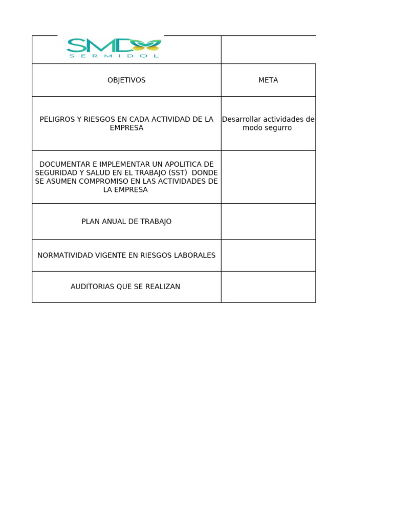 Plan Anual de Seguridad y Salud Laboral | PDF