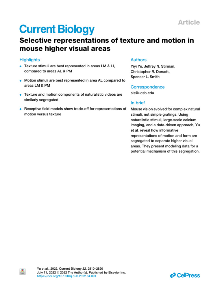 Mouse Visual Areas: Texture vs. Motion | PDF | Visual Cortex