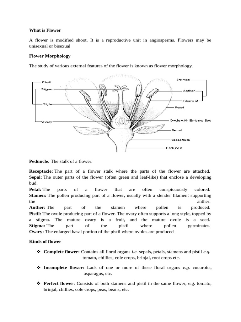 Understanding Flower Structure and Types | PDF | Flowers | Pollination