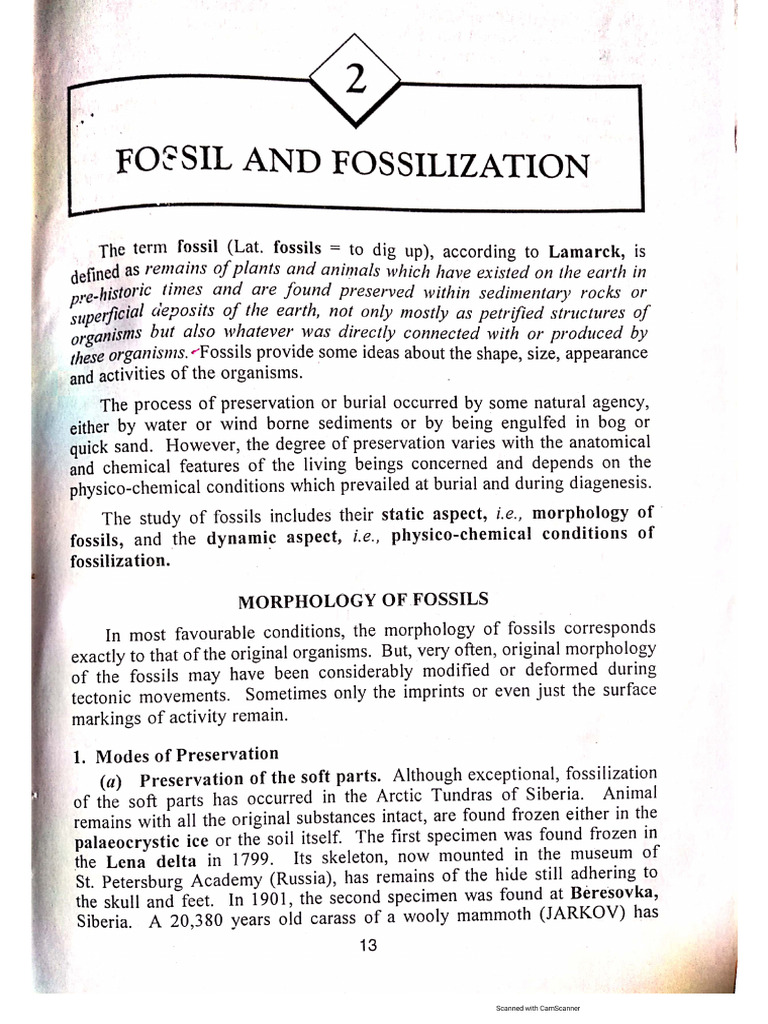 Fossil and Fossilization | PDF